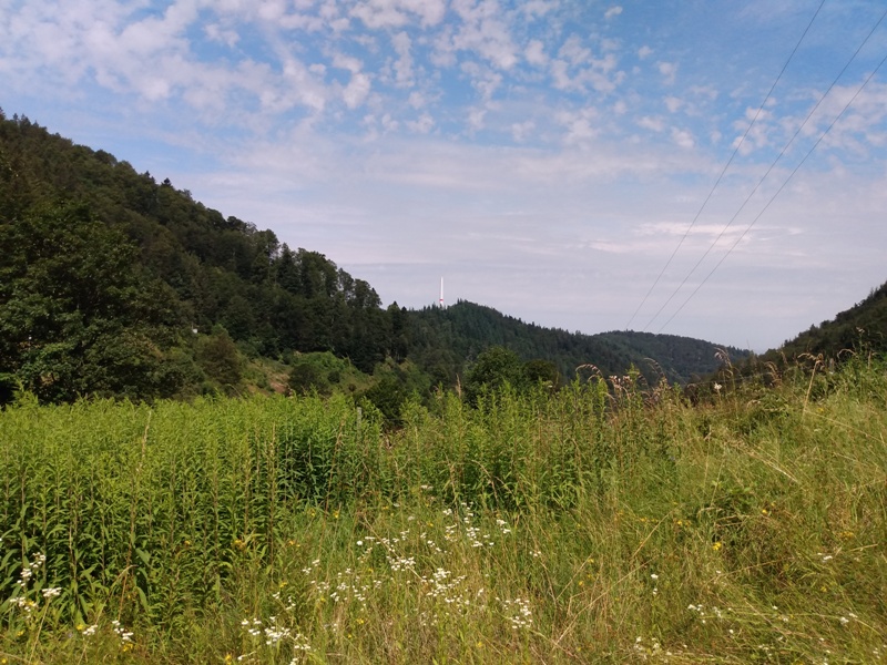 Blick vom Leopoldstollen